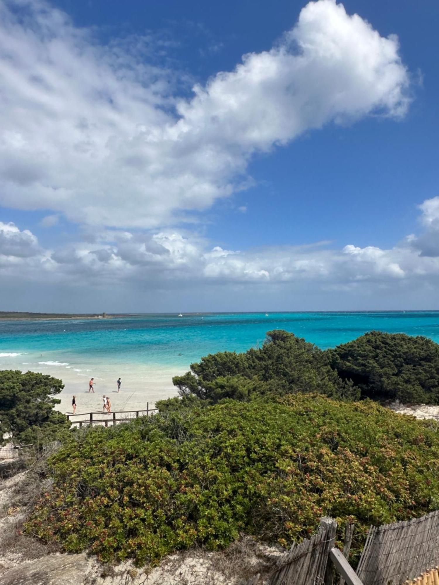 Villetta Giulia Fronte Mare Stintino Exteriér fotografie